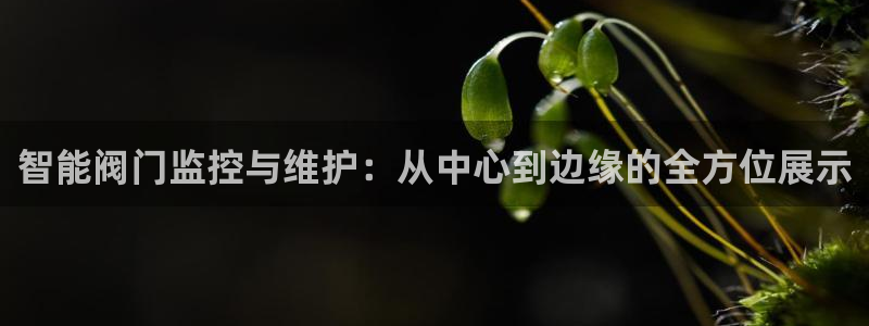 新宝GG用哪个网址登录