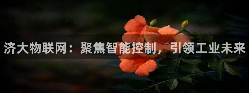 www.新宝gg