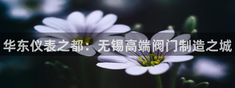 新宝gg返点1956是多少