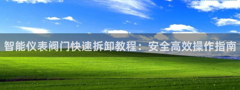 新宝gg软件下载