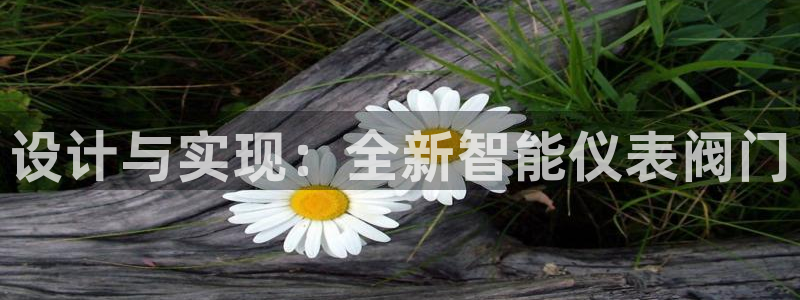 新宝gg 主管