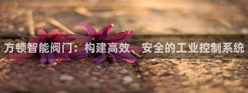 新宝gg平台注册