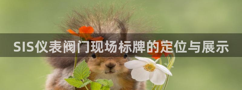 新宝gg娱乐-上鼎狐网