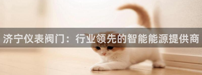 新宝gg首页平台