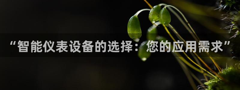 新宝GG专业团队