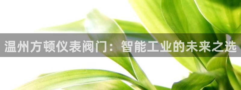 新宝gg登陆