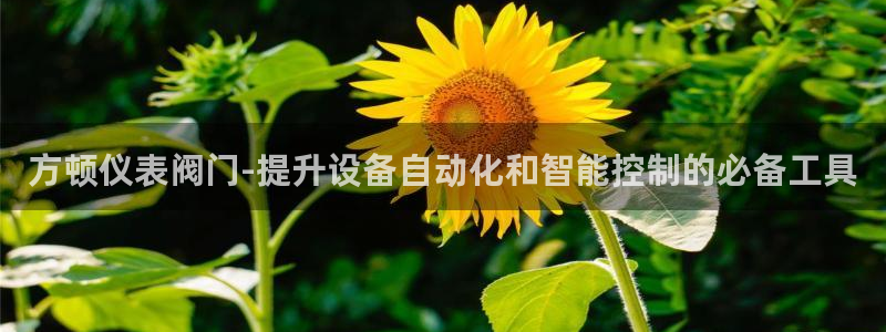 新宝gg评论