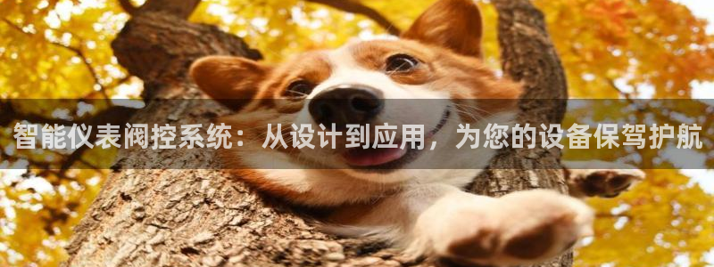 新宝gg登陆平台