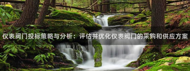 新宝gg维护