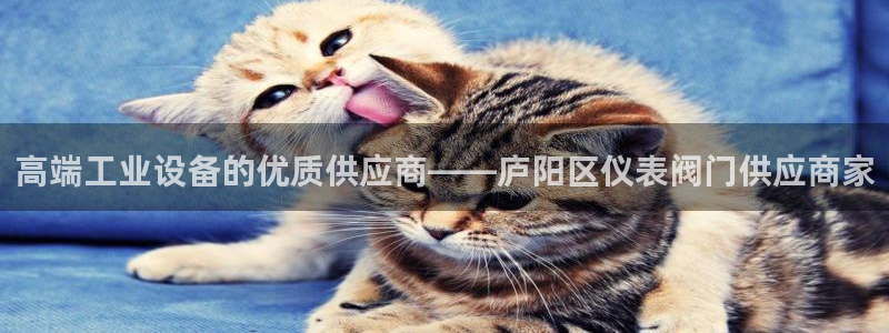 下载新宝gg怎么下载