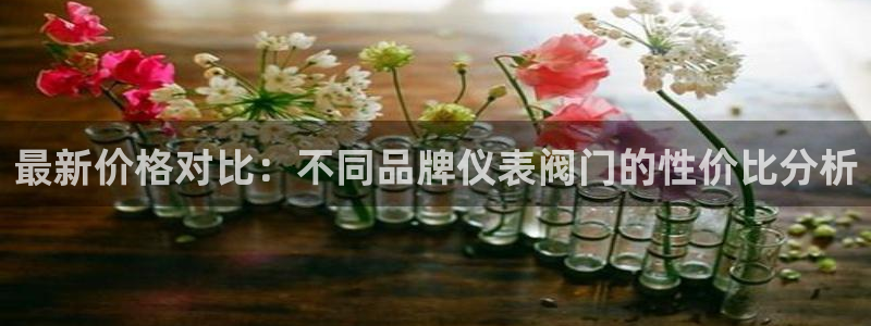 新宝GG股东