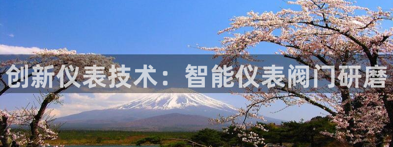 新宝gg联系