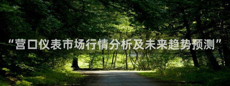 新宝gg画