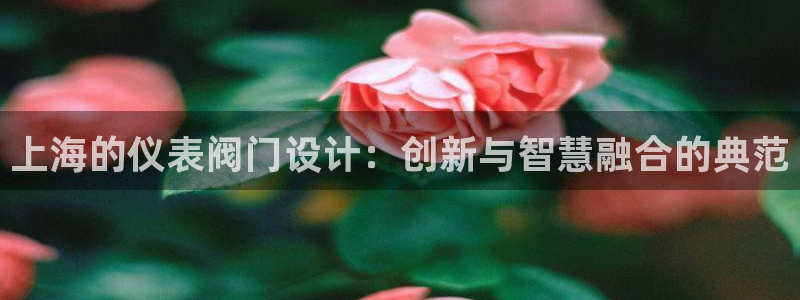 新宝gg如何做到总代理