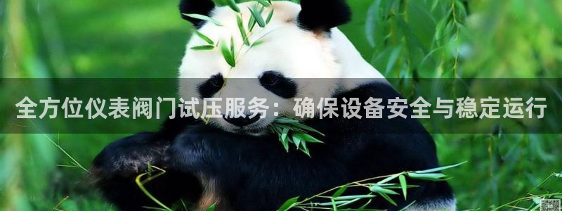 新宝gg官方下载