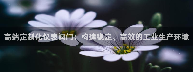 新宝gg平台连接