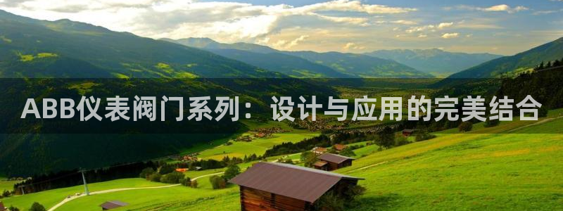 新宝gg是什么
