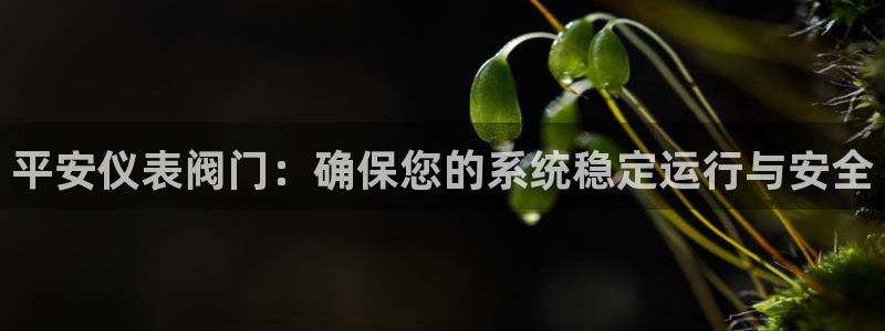 新宝gg娱乐首页