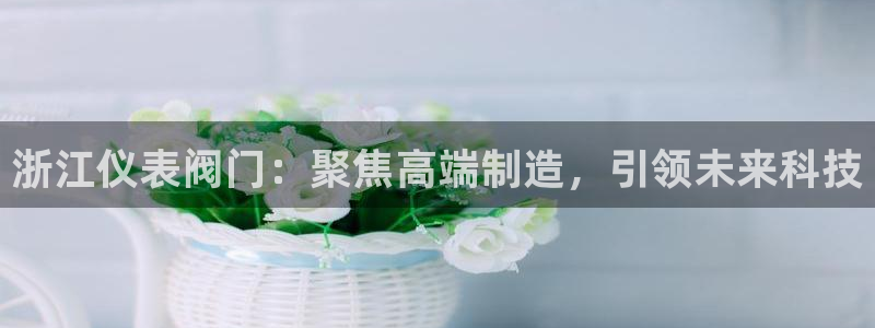 新宝gg老板64491
