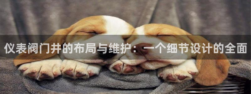 新宝gg主管weibo