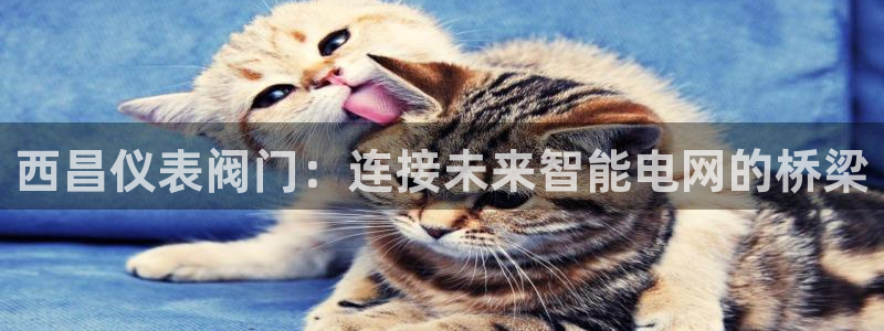 新宝gg龙虎规则