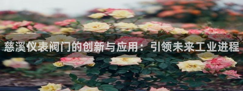 新宝gg主管 9