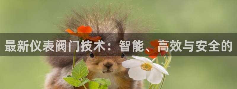 新宝gg龙腾