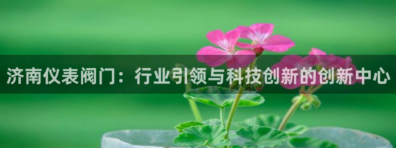 新宝gg技术