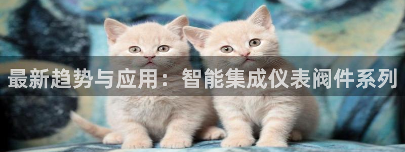 新宝gg招商致胜团队