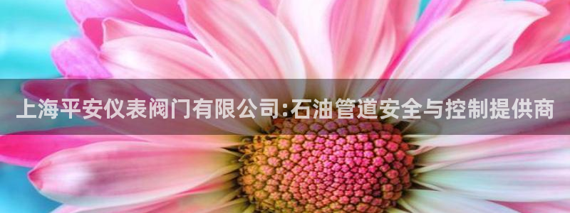 新宝gg好吗