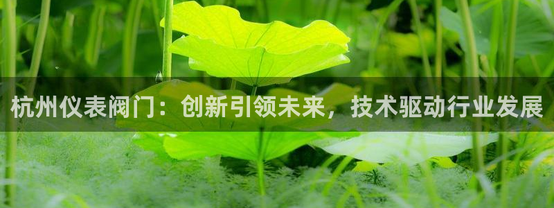 新宝gg走势