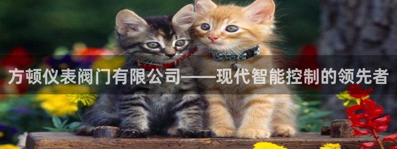 新宝gg盈亏