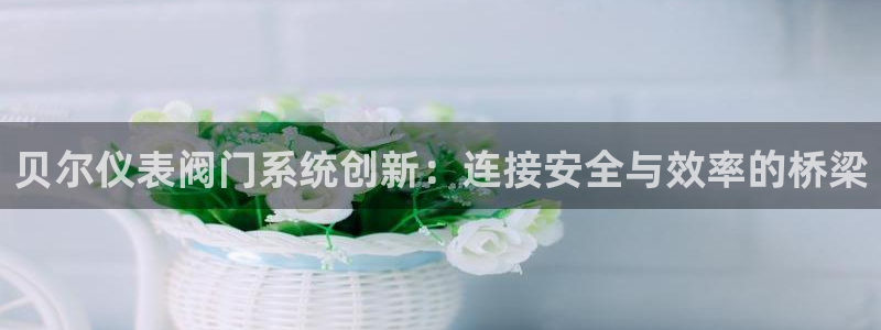 新宝gg盈亏