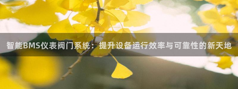 网站是新宝gg