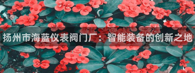 新宝gg真的能赚钱么