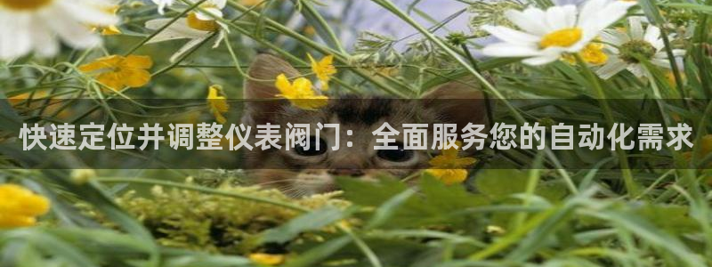 新宝gg总管