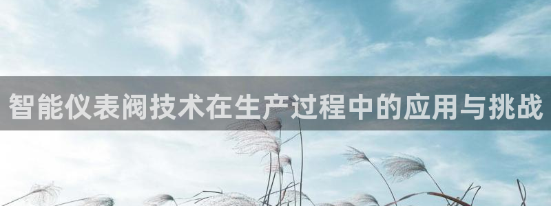 新宝gg网娱乐