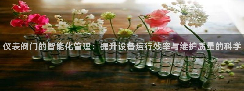 新宝gg如何赚钱