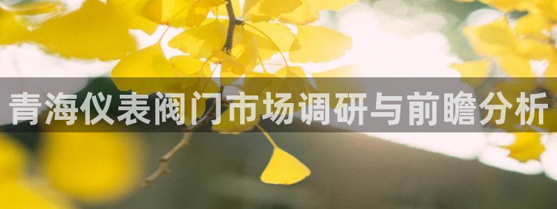 新宝gg主页