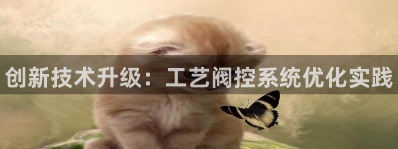 新宝gg网址