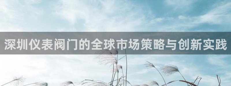 新宝gg玩法