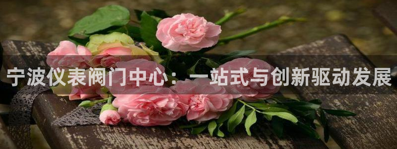 新宝gg直