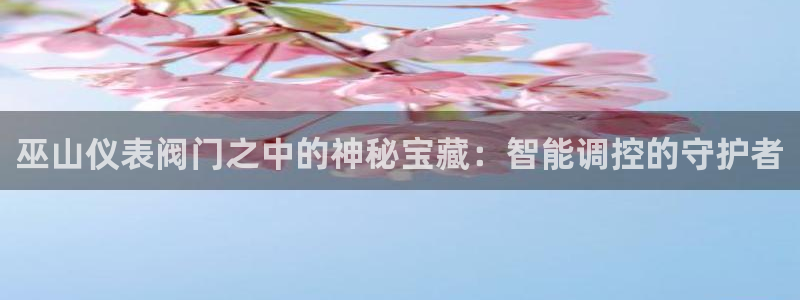 新宝集团gg