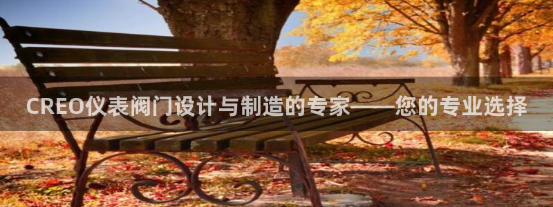 新宝gg平台开发