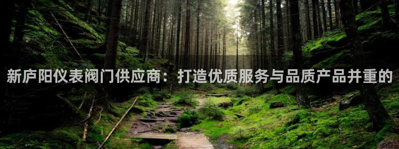 新宝一gg测速