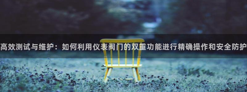 新宝Gg测速地址
