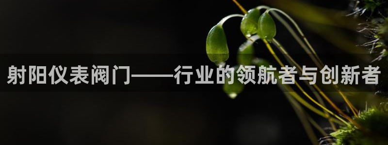 新宝gg彩票
