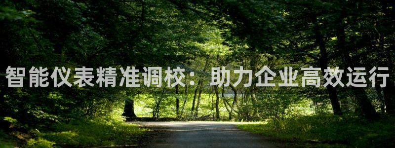 新宝gg娱乐盟主