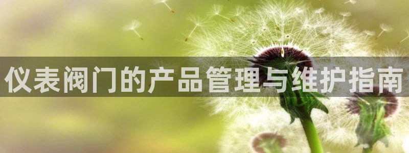 新宝gg论坛