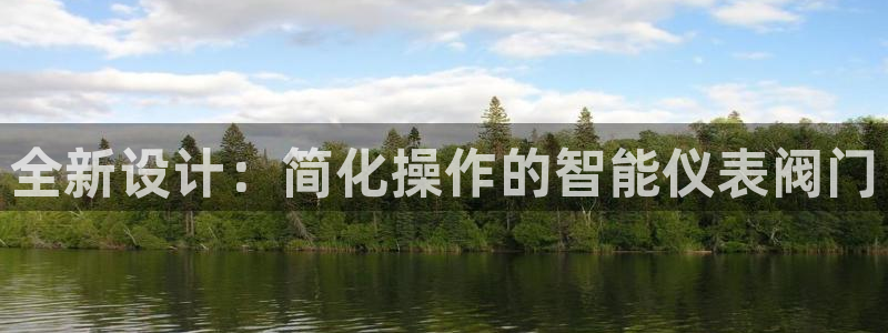www.新宝gg
